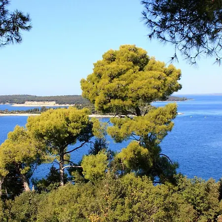 Daire With Wifi Stinjan, - 7246 Pula